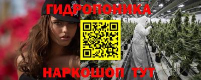 apvp Краснодар