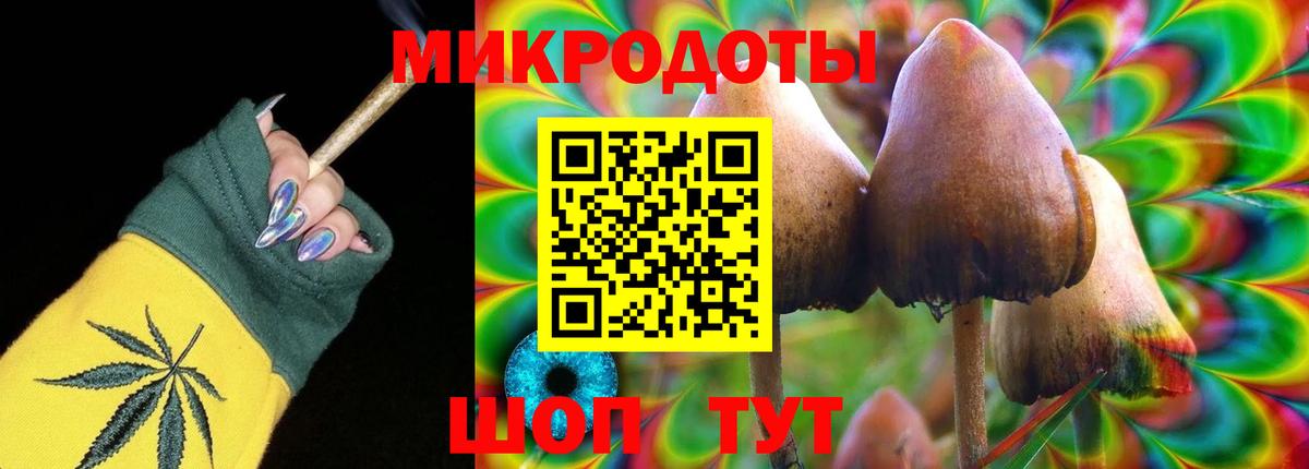 Псилоцибиновые грибы прущие грибы Зерноград