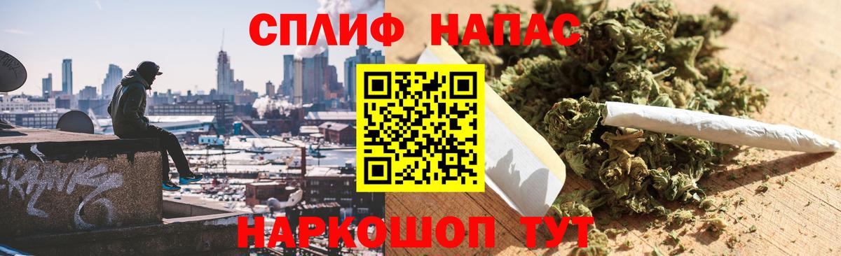 Каннабис план Зерноград